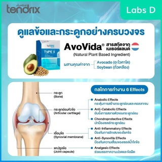 Tendrix [ Bonvix1 + Revix1 ใหญ่ แถม Bonvix1 + Revix1 เล็ก ] เท็นดริกซ์ ฟื้นฟูกระดูก เส้นเอ็น กล้ามเนื้อ | By Labs D