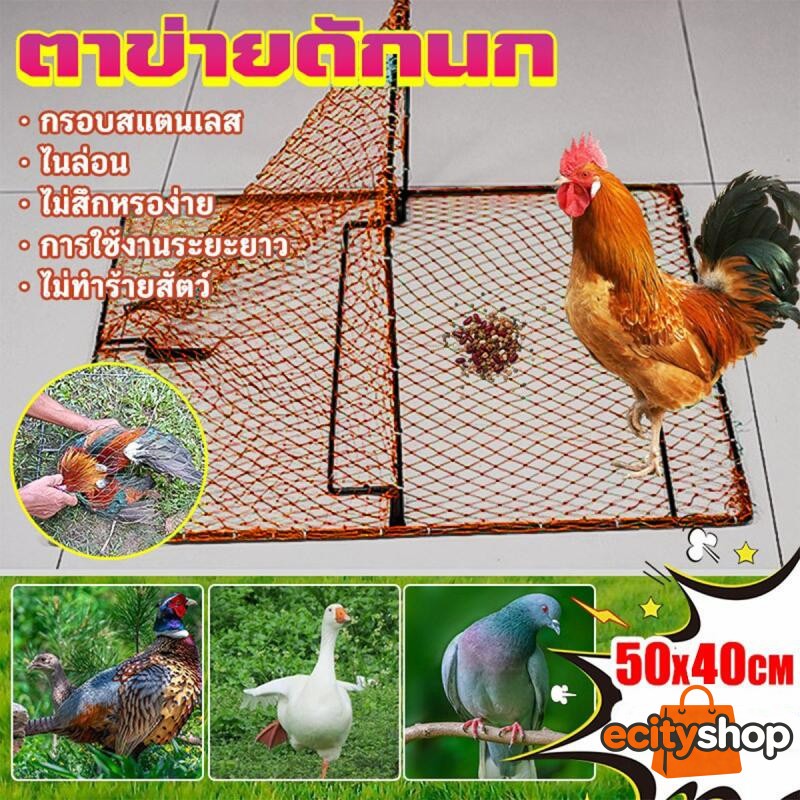 กับดักนกและไก่ กับดักไก่แบบตาข่าย กรอบสแตนเลส ที่ดักนก ที่ดักไก่
