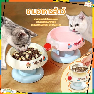 ชามสัตว์เลี้ยง ชามอาหารสัตว์ สแตนเลสยกสูง ชามอาหารแมว ทำความสะอาดง่ายๆ มียางกันลื่น ป้องกันการเลื่อนขณะกินอาหาร