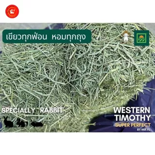มายล ทิมโมธี เกรดกระต่าย คุณภาพดีที่สุด 1 กิโลกรัม