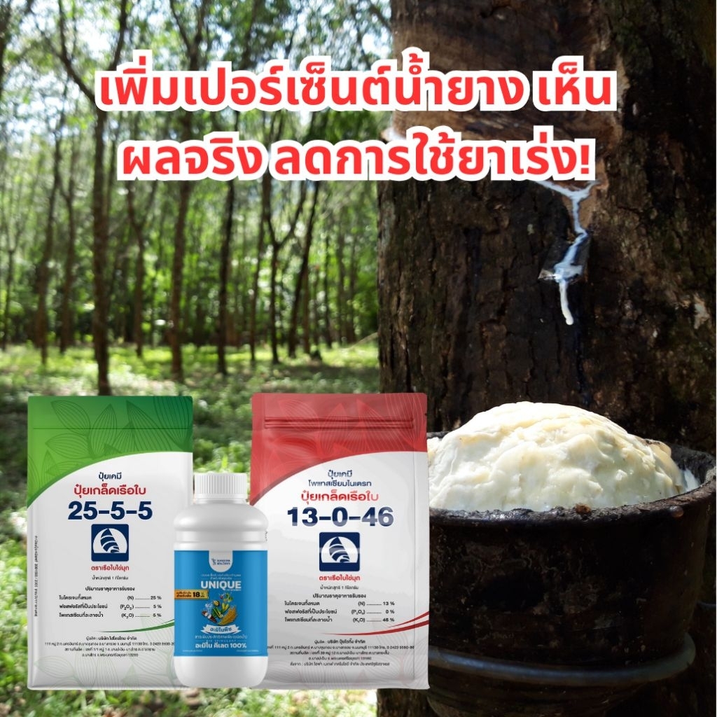 เซตเร่งน้ำยาง​ บำรุงหน้ายาง ปุ๋ยเกล็ด 13-0-46 เรือใบ 1 กก.  ปุ๋ยเกล็ด 25-5-5 เรือใบ 1 กก.  ยูนีค อะมิโนพืชคีเลต 500 มล.