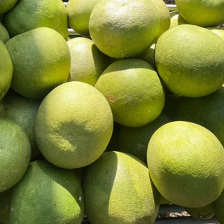 ส้มโอ พันธุ์ขาวใหญ่ จากสวนอัมพวา ไซส์ L - 1.3-1.4 kg
