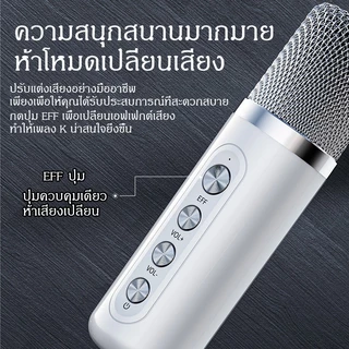 ลำโพงบลูทูธพร้อมไมโครโฟนคู่ YS-203สำหรับร้องเพลงคาราโอเกะ