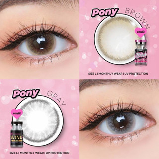 🔥คอนแทคเลนส์✨ขนาดบิ๊กอาย✨ Pony ✨Wink