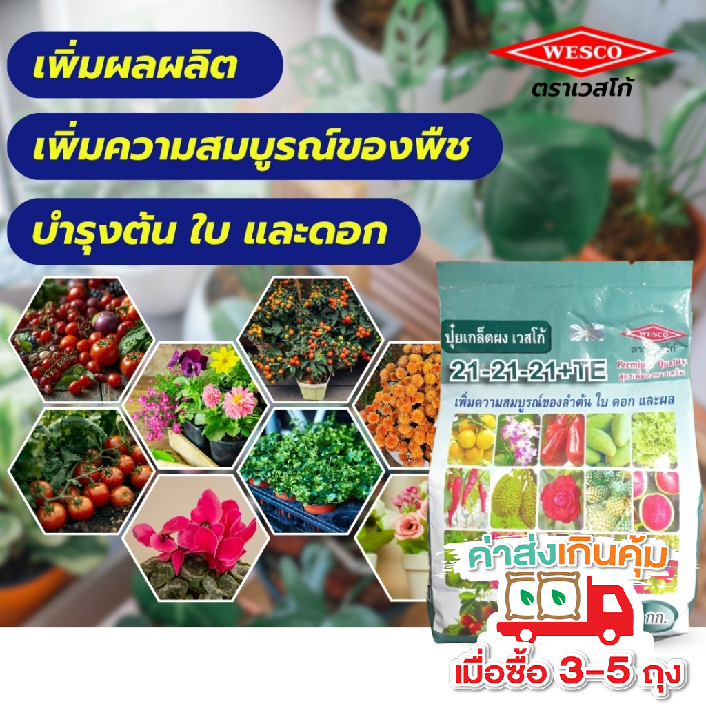 ปุ๋ยเกล็ด เวสโก้ สูตร ปุ๋ย 21 21 21+ธาตุรองเสริม สูตรเสมอ บำรุงพืช เร่งใบ ดอก ผล ปุ๋ยแคคตัส ปุ๋ยกล้วยไม้ ปุ๋ยทุเรียนเล็ก