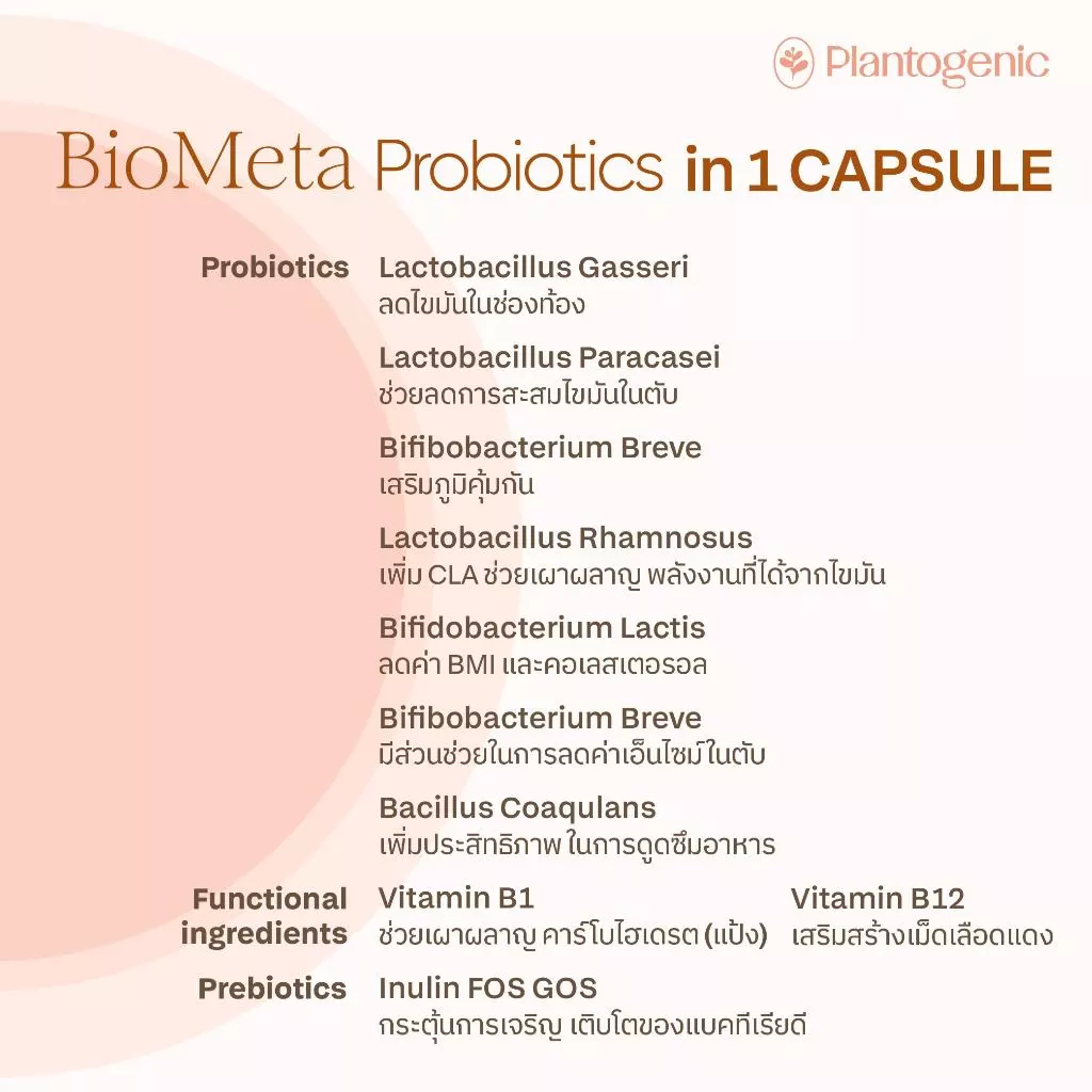 Plantogenic x Biomed - BioMeta แคปซูลโพรไบโอติกส์ Medical Grade Probiotic (Plant-Based) thumbnail 4
