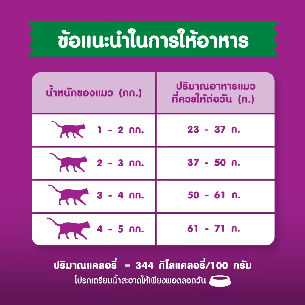 WHISKAS วิสกัส อาหารเม็ดแมวสำหรับแมวโต 3 กก. thumbnail 8