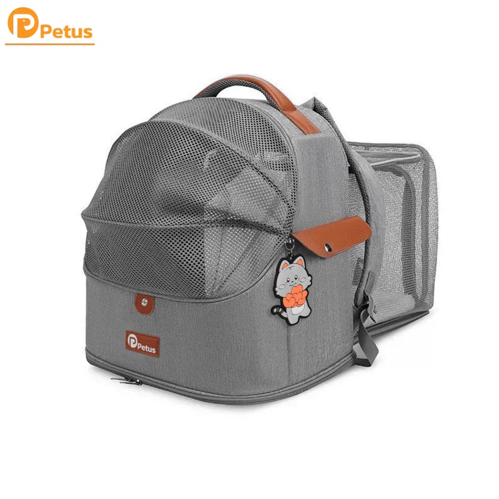 รีวิว กระเป๋าสัตว์เลี้ยง Petus พกพาสะดวก ระบายอากาศดี เหมาะสำหรับแมวและหมาเล็ก