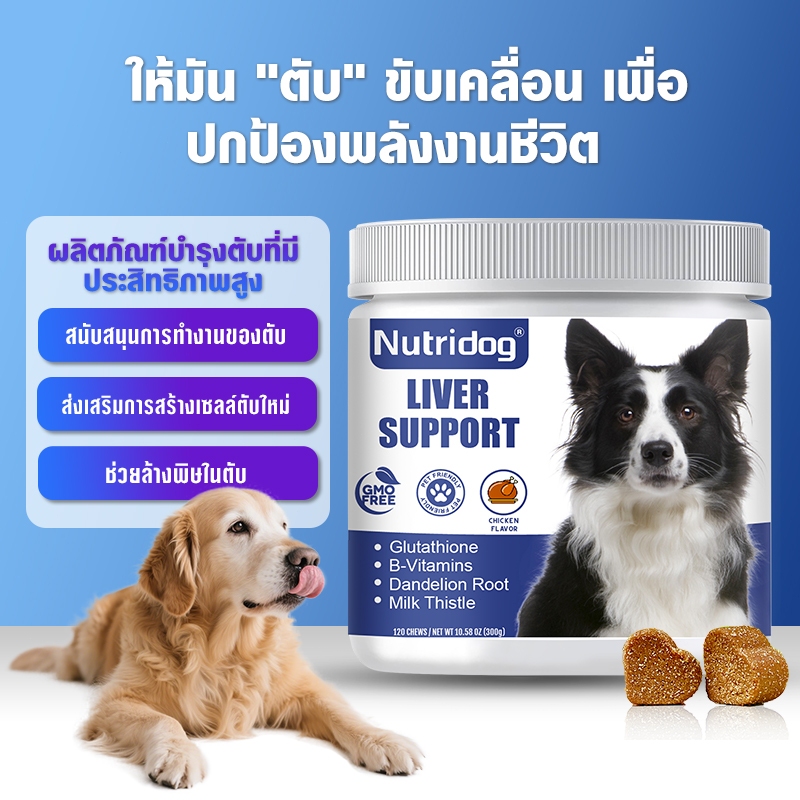 Nutridog Liver Support อาหารเสริมบำรุงตับสุนัข รสไก่ 120 เม็ด บำรุงตับได้ดี