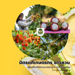 ไดโนร่า ไดโนทีฟูเเรน 20% ขนาด 1 กิโลกรัม ป้องกันเเละกำจัดเเมลง เพลี้ยไฟ เพลี้ยเเป้ง เพลี้ยจั๊กจั่นฝอย