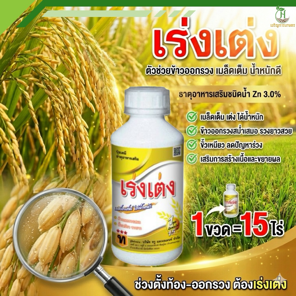 เร่งเต่ง ตัวช่วยข้าวออกรวง เมล็ดเต็ม สังกะสี Zn 3.0% ช่วยให้เมล็ดเต็ม เต่ง ได้น้ำหนัก ข้าวออกรวงสม่ำเสมอ