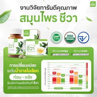 [ส่งฟรี] Chewa ชีวา ผลิตภัณฑ์เสริมอาหารสมุนไพรผักเชียงดา ชนิดแคปซูล 30 แคปซูล มือชาเท้าชา น้ำตาลสูง (2 กระปุก)