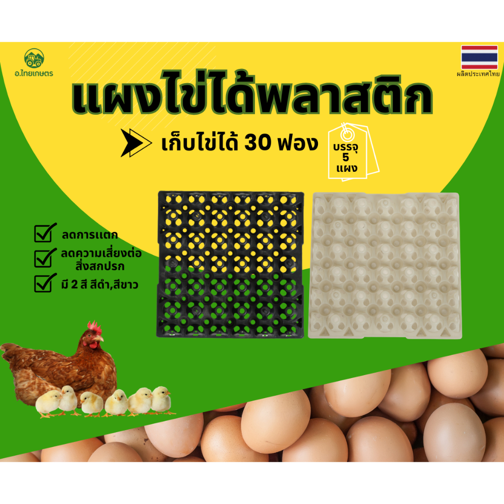 อ.ไทยเกษตร ถาดไข่พลาสติก เก็บไข่ไก่ไข่เป็ด เบอร์ใหญ่ 0-3 มือ1 แพ็ค 5 แผง ขนาด 30x30x5 ซม. มี2สี