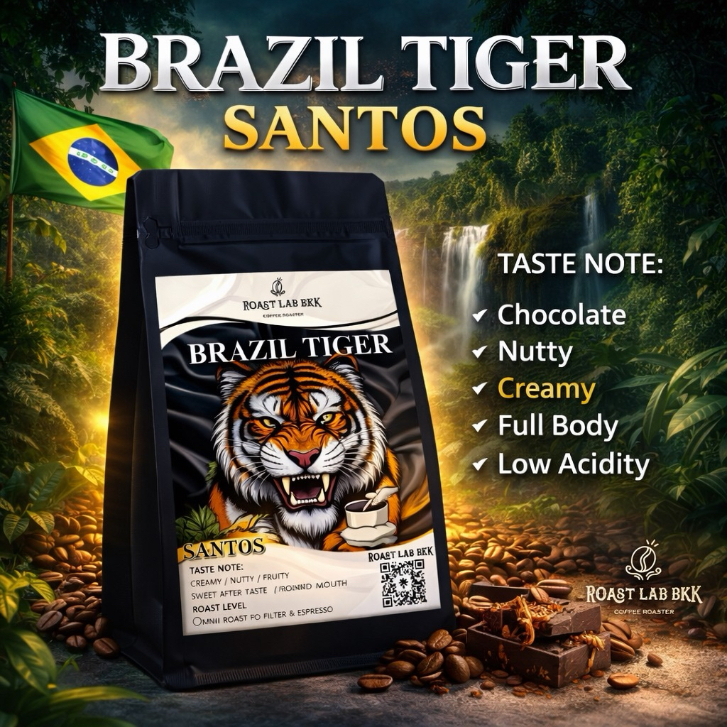 Roast.Lab.BKK เมล็ดกาแฟBrazil Tiger No.2 Santos Fine Cup เมล็ดกาแฟบราซิล