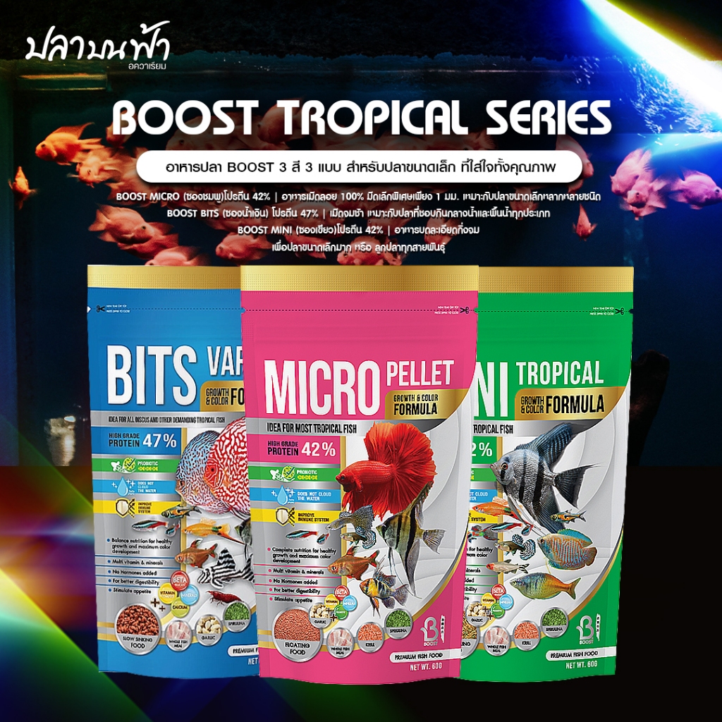 อาหารปลา BOOST อาหารปลาปอมปาดัวร์ ปลากัด ปลาสอด ปลาเทวดา ปลาสวยงามขนาดเล็กทุกชนิด สูตรเร่งสี-เร่งโต
