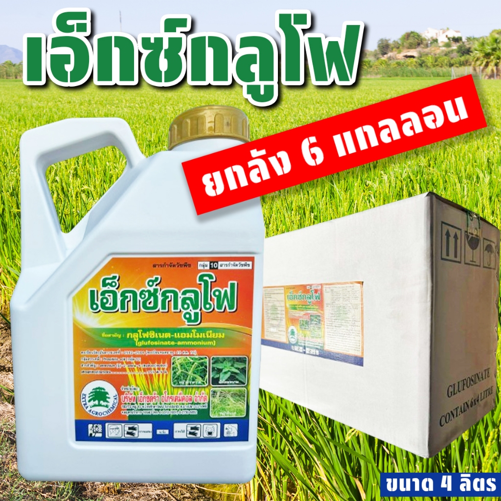 (ยกลัง6แกลลอน) เอ็กซ์กลูโฟ ขนาด 4 ลิตร กลูโฟซิเนตแอมโมเนียม กำจัดหญ้าทุกชนิด ปลอดภัยต่อพืชที่ปลูก