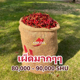 พริกแห้ง จินดา อินเดีย (ก้าน) 9.5-10 กก. เม็ดสวย เม็ดยาว ทำน้ำพริก ทำพริกแกง ทำพริกป่น อาหารอื่นๆ