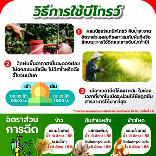 บีโกรว์ 100 ซีซี 1 ขวด ฮอร์โมนพืช ป้องกันโรคและแมลง ใบเขียว ของแท้ ส่งฟรี [ชุดประหยัด]