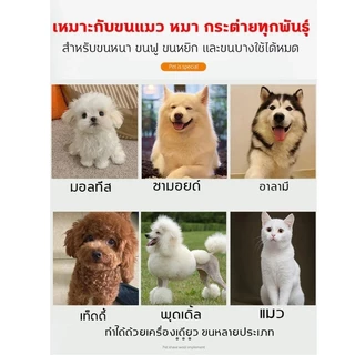 เครื่องโกนหนวดสัตว์เลี้ยง （สุดเงียบ ป้องกันกังวลที่ตัดขนหมา 4in1ชุดอุปกรณ์ตัดขนสุนัข ที่ตัดขนแมว ที่ตัดขนสุนัข โกนขนแมว）