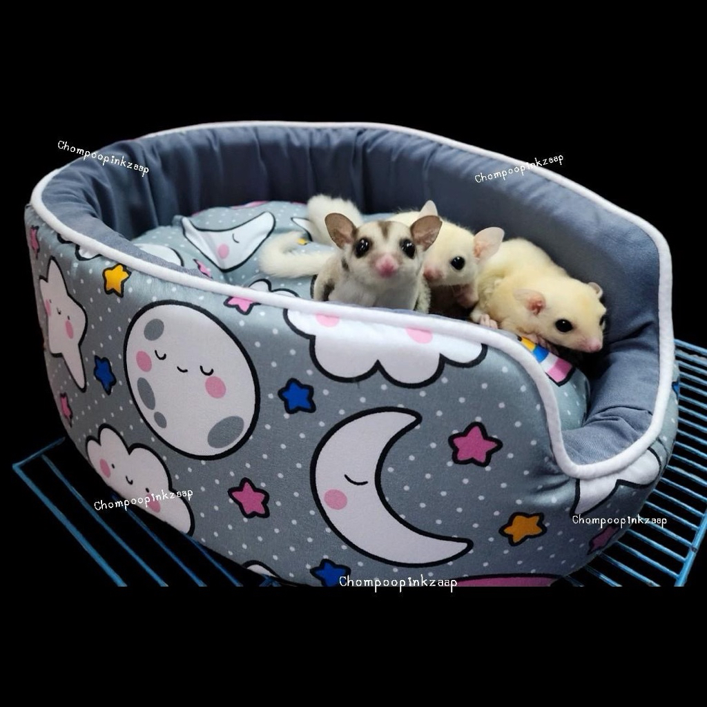 เบาะนอนสัตว์#ที่นอนกระต่าย#ที่นอนแกสบี้#คละสี