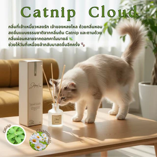 ก้านไม้หอมอ่อนโยนกับสัตว์เลี้ยงในบ้าน –กลิ่นCatnip Cloud(Catnip+คาโมมายล์)