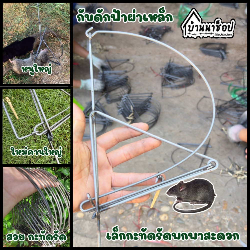กับดักหนู กับฟ้าผ่า ฟ้าลั่น กับเหล็ก กับญวน ไม่ต้องใช้เหยื่อ มัดละ 5 ตัว และ 10 ตัว