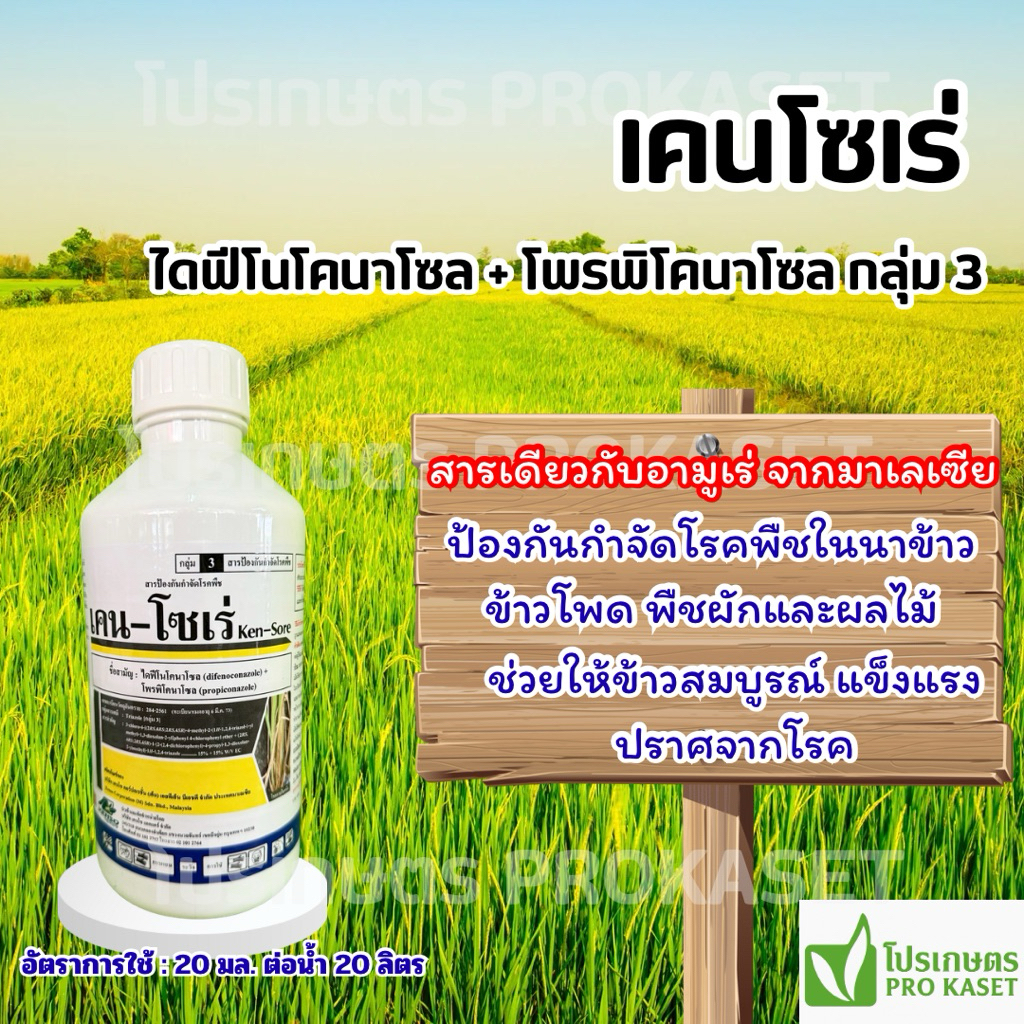 เคนโซเร่ 1 ลิตร ตัวเดียวกับอามูเร่ ป้องกันกำจัดเชื้อราในนาข้าว พืชไร่ ผัก ผลไม้ คุณภาพดี ของแท้สั่งตรงจากบริษัท