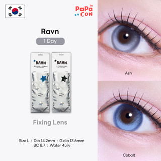 MyFiPN รุ่น Ravn 1 Day #เลนส์ไม่หมุน [Fixing Lens] สี Ash/Co…