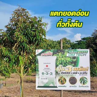 (ถุง5กิโลกรัม) ปุ๋ยอินทรีย์เคมี 6-3-3 บวกอะมิโนพืช มีอินทรีย์วัตถุ ตราดวงตะวันเพชร บำรุงต้น โตไว ใบเขียว ใช้ได้ทุกพืช