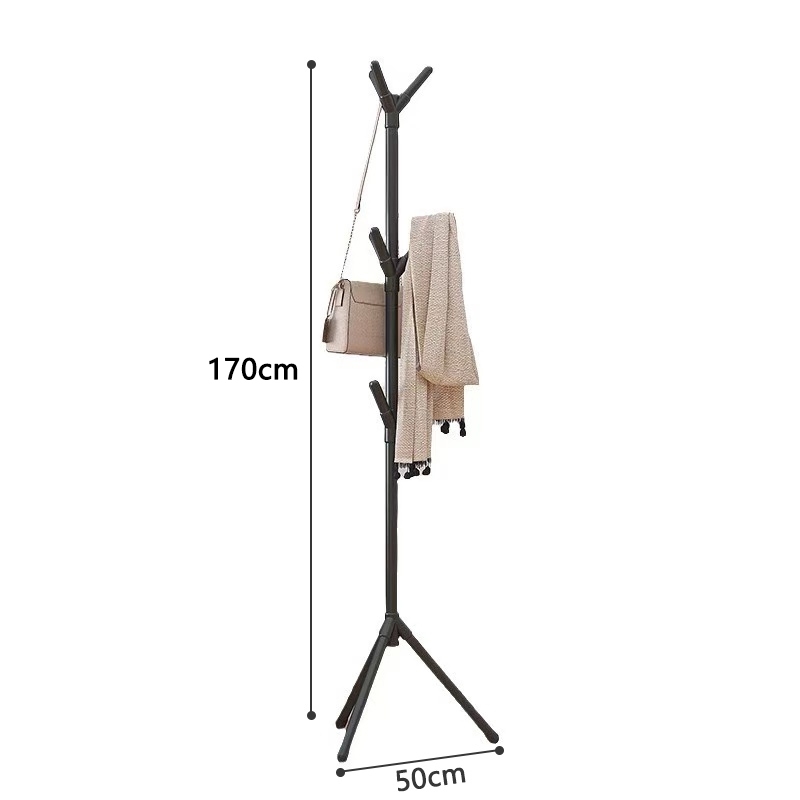 รูปภาพ 5