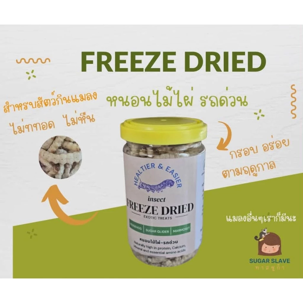 หนอนไม้ไผ่ฟรีซดราย 100% อาหารสัตว์เลี้ยงเอ็กโซติก โปรตีนสูง สำหรับชูก้าไกลเดอร์ กิ้งก่า นกกินแมลง