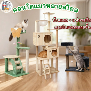 คอนโดแมวไม้ ใหญ่พิเศษ เสาลับเล็บแมว หลุมอวกาศใส กล่องนอนสองช…