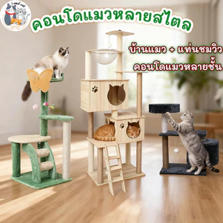 คอนโดแมวไม้ ใหญ่พิเศษ เสาลับเล็บแมว หลุมอวกาศใส กล่องนอนสองชั้น โครงปีนแมว ของเล่นครบ