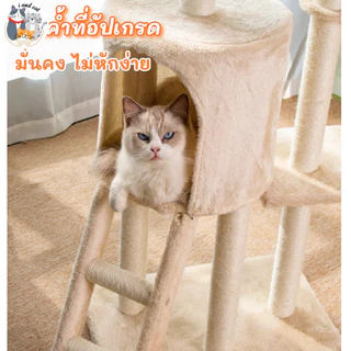 คอนโดแมวไม้ ใหญ่พิเศษ เสาลับเล็บแมว หลุมอวกาศใส กล่องนอนสองชั้น โครงปีนแมว ของเล่นครบ
