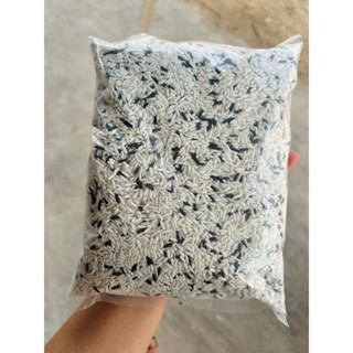 (1 กก.) ต้องลอง!!! ข้าวเหนียวขาว ผสม ข้าวเหนียวดำ สำหรับผู้ท…