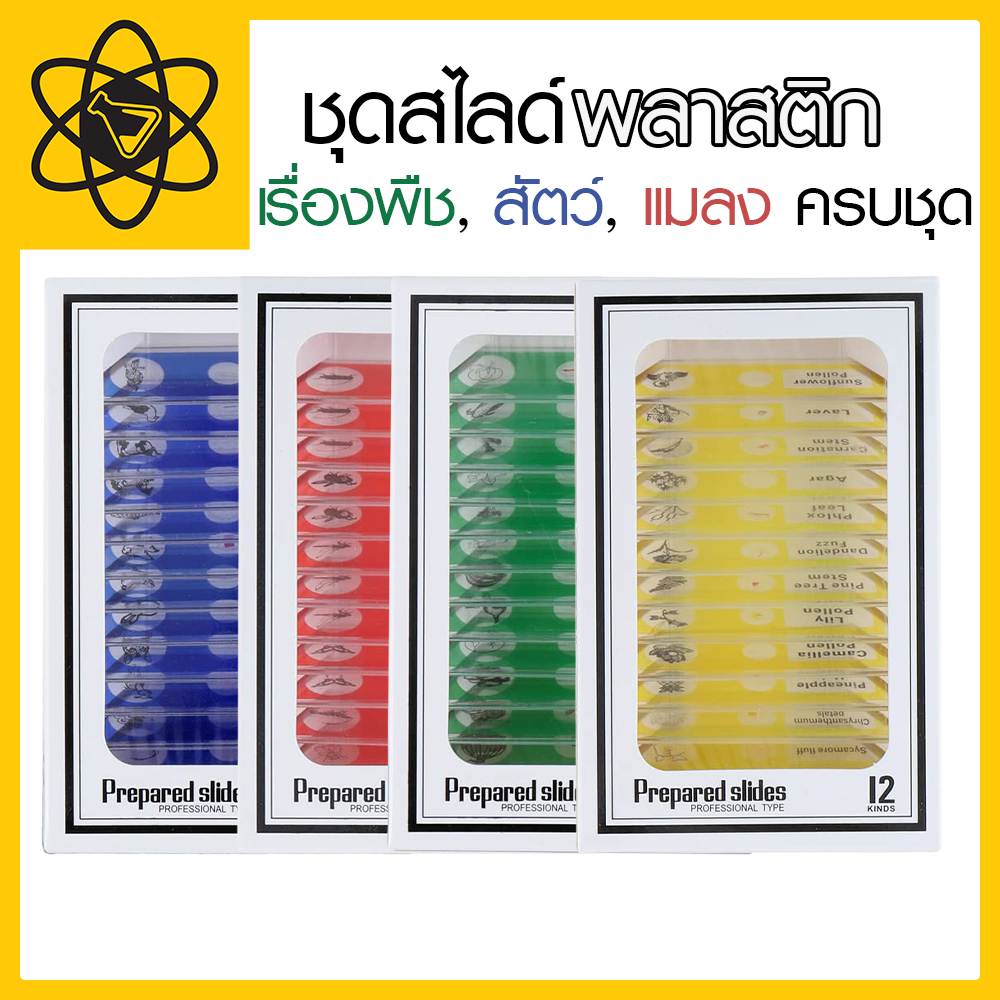 ชุดสไลด์พลาสติก เรื่องพืช,สัตว์,แมลง ครบชุด
