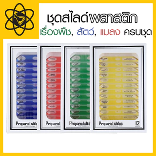 ชุดสไลด์พลาสติก เรื่องพืช,สัตว์,แมลง ครบชุด