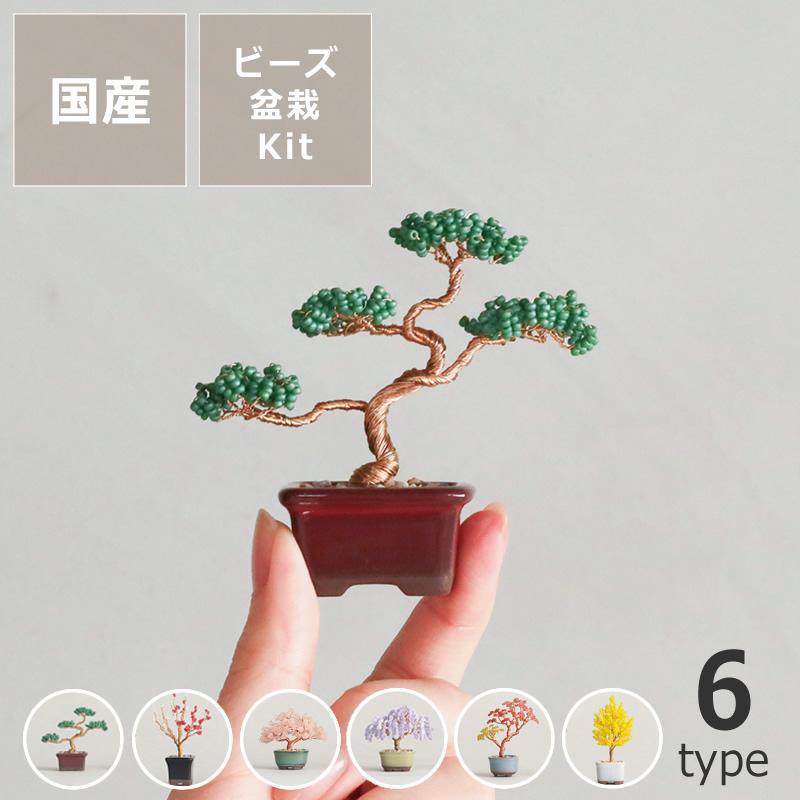 Miyuki Nejitte BONSAI Kit – ชุดบอนไซลูกปัดจิ๋ว จากญี่ปุ่น 🇯🇵