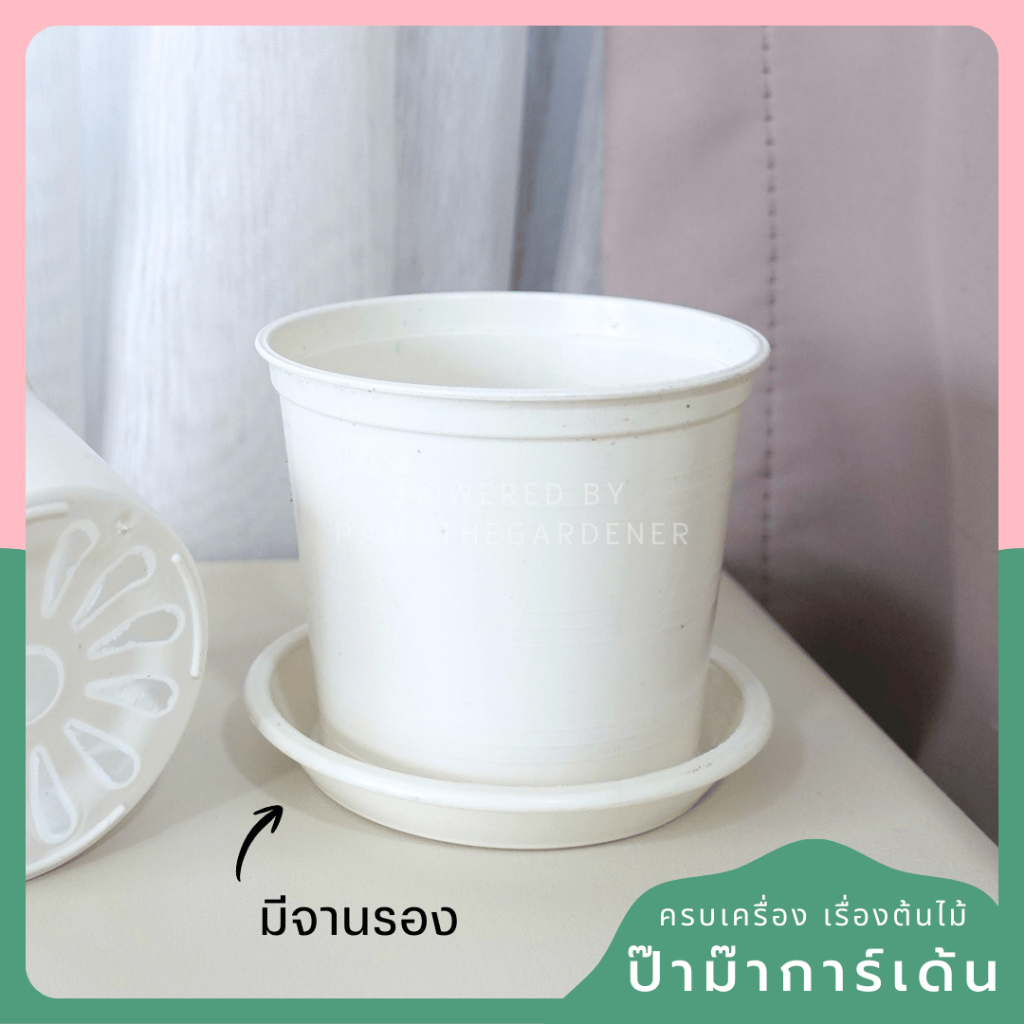 3-inch White Plastic Pot with Matching Saucer - View 4