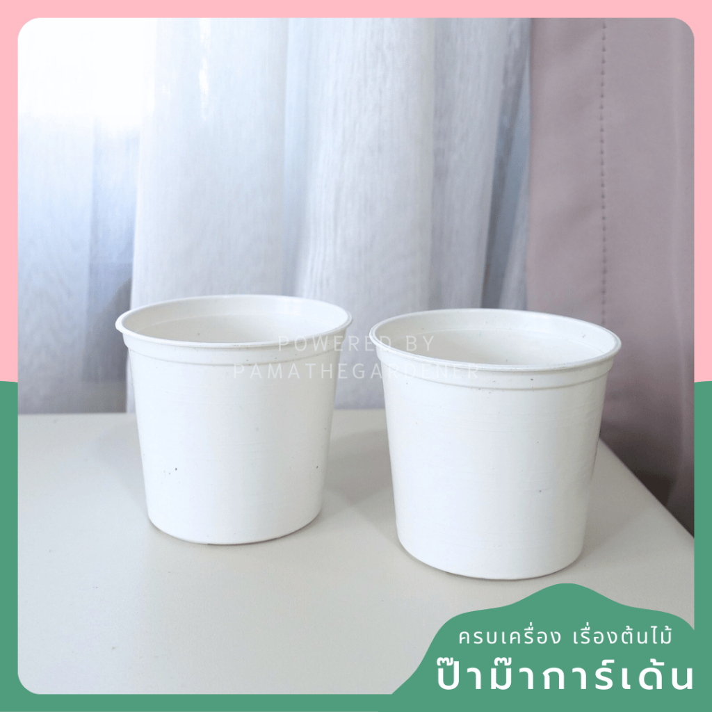 3-inch White Plastic Pot with Matching Saucer - View 5