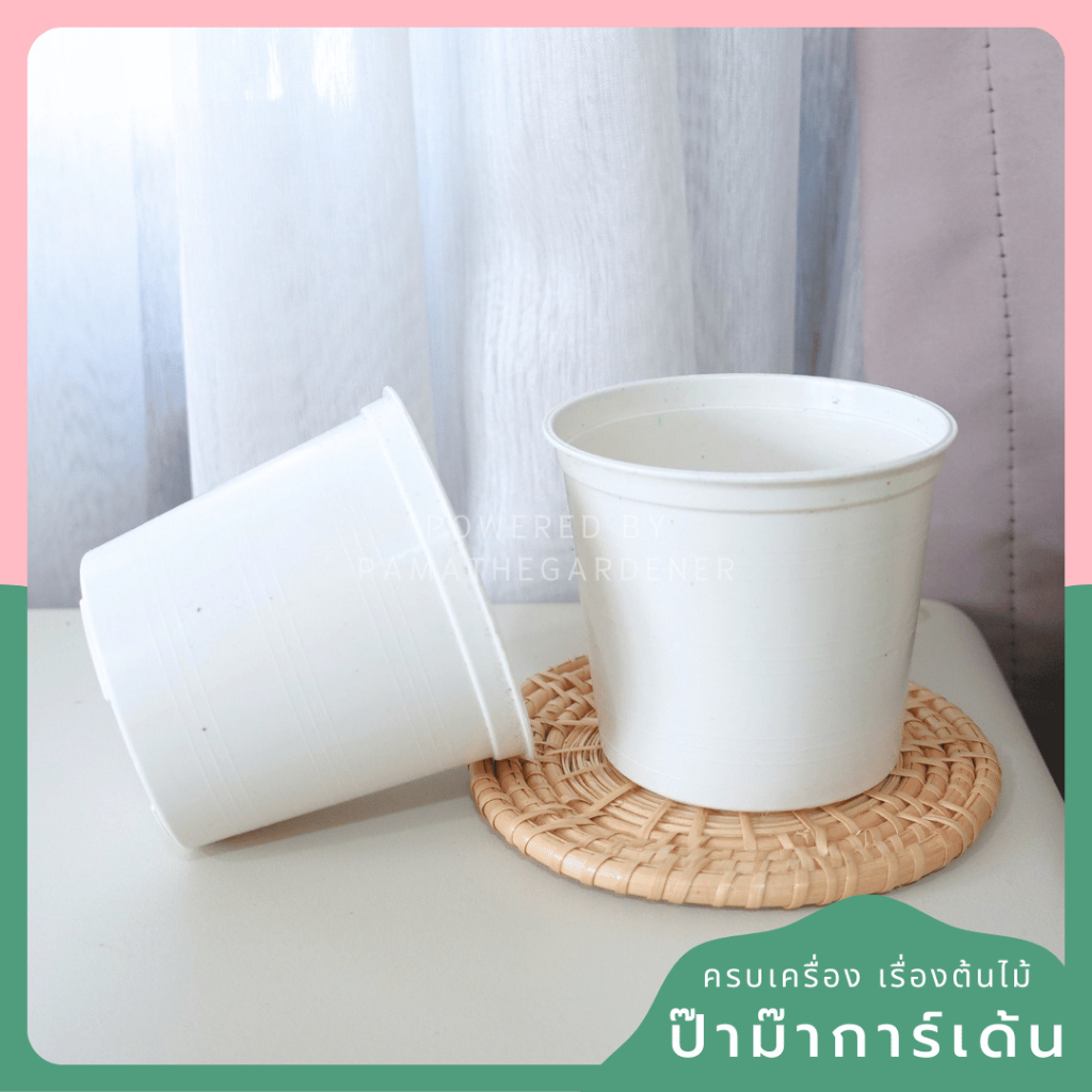 3-inch White Plastic Pot with Matching Saucer - View 6