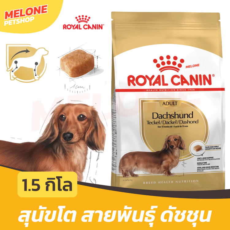 [ล็อตใหม่ exp 08/2027] Royal Canin Dachshund Adult อาหารสุนัข โรยัล คานิน สุนัขโต สายพันธุ์ ดัชชุน บำรุงกระดูก 1.5 kg