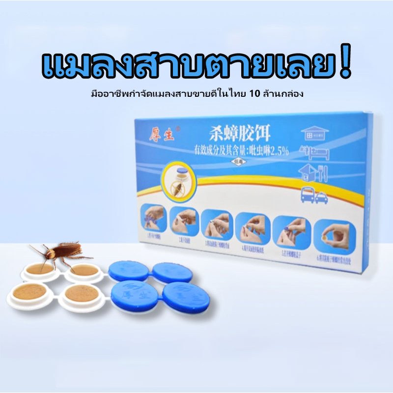 【เพชฌฆาตแมลงสาบ】แรงพิเศษ! เหยื่อแมลงสาบ 8 ชิ้น/กล่อง เชนฆ่า ตายยกรัง ปลอดภัย ไม่มีกลิ่น