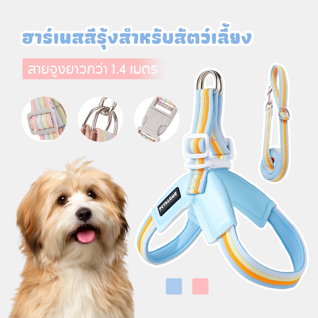 สายรัดหน้าอกสุนัขสายรัดหน้าอกสัตว์เลี้ยงสายรัดหน้าอกสัตว์เลี้ยงระบายอากาศสายรัดหน้าอกสุนัขใช้สัตว์เลี้ยง