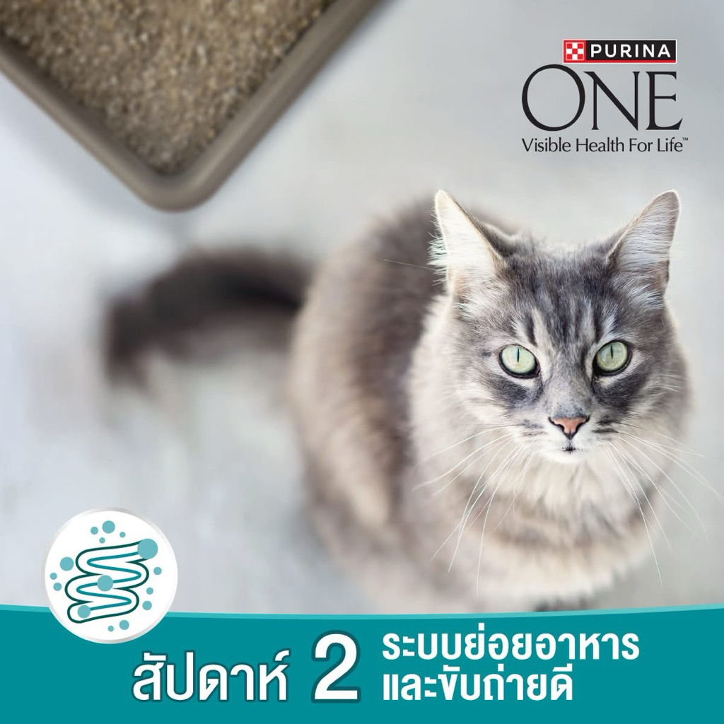 [แบ่งขาย1kg] Purina One อาหารแมว แบบแบ่งขาย แพคหนา ถุง2ชั้นขนาด1กิโลกรัม - รูปที่ 3