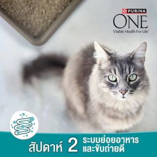 [ถุง2.7kg] Purina One ขนาด 2.7 กก. อาหารแมว เพียวริน่า วัน มีครบทุกสูตร EXP 2027