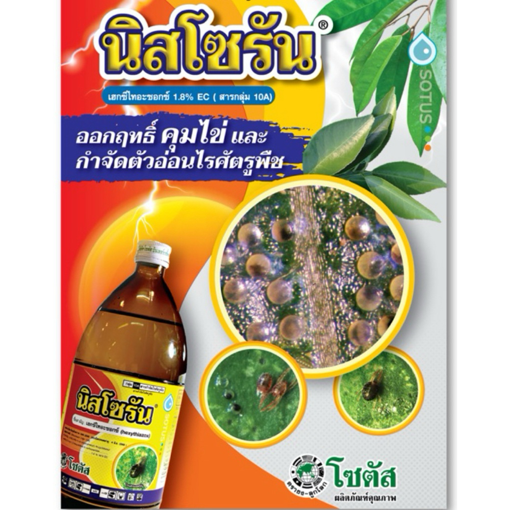 นิสโซรัน เฮกซีไทอะซอกซ์ สารกำจัดไรศัตรูพืช สารกำจัดแมลง ยาฆ่าไร ไร ฆ่าไร คุมไข่และตัวอ่อน แมงมุมแดง
