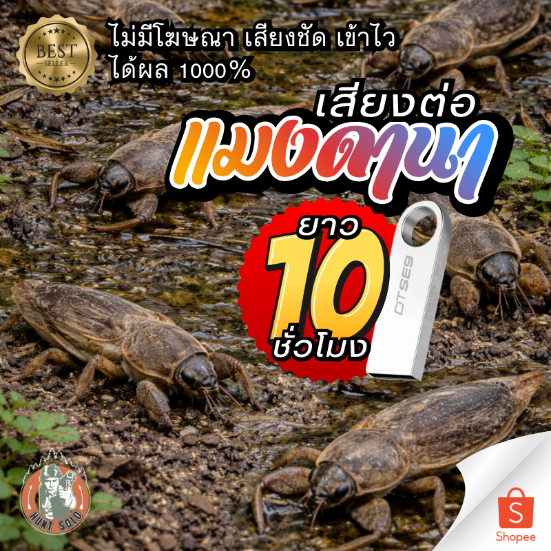 {{ยาว10ชั่วโมง}} เสียงต่อล่อแมงดานา ใส่แฟลชไดร์ฟ ชัด เสียงใส ไม่มีโฆษณา พร้อมส่ง! มีเก็บเงินปลายทาง ราคา ถูกที่สุด ดีลบีเคเค