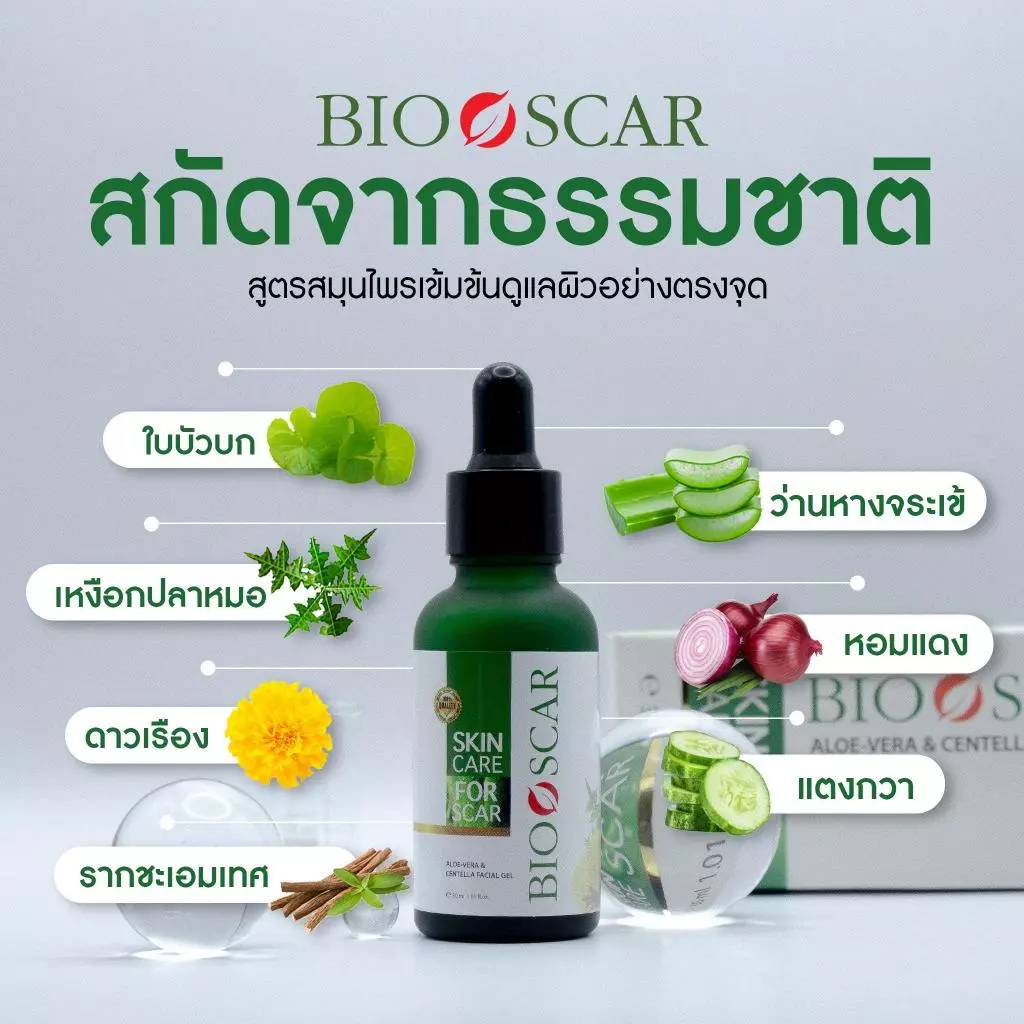 Bioscar ไบโอสการ์เจล สำหรับรอยแผลเป็น เจลเซรั่มสมุนไพรเข้มข้น  Skincare สกินแคร์ thumbnail 5