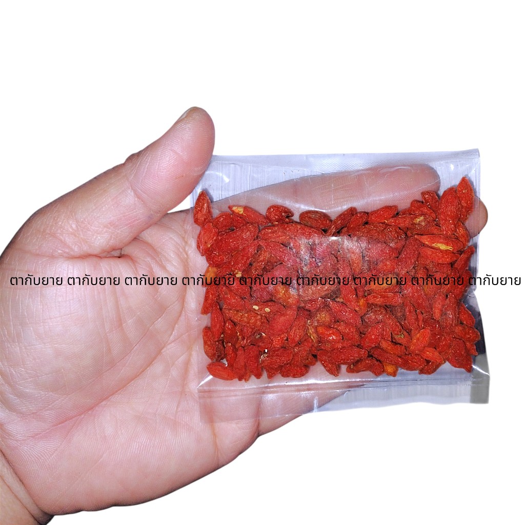 เก๋ากี้ (枸杞子) โกจิเบอร์รี่ (Goji Berry)